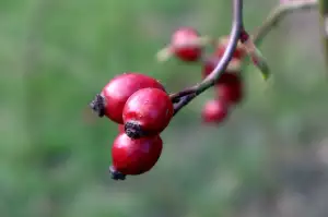 Práce Na Letišti Václava Havla